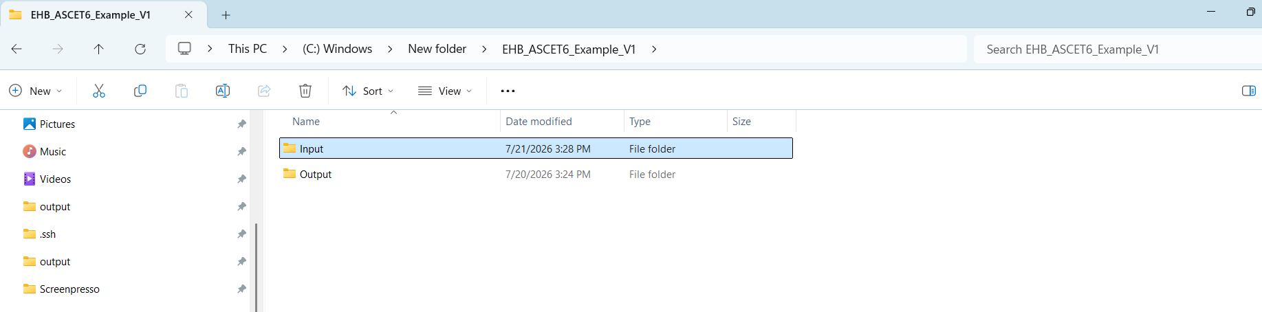 Example project directory